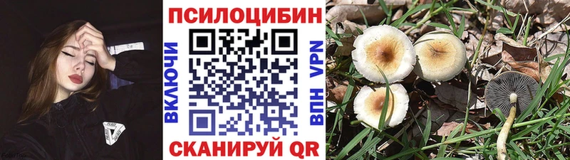 цена наркотик  Сегежа  KRAKEN как зайти  Псилоцибиновые грибы мухоморы 