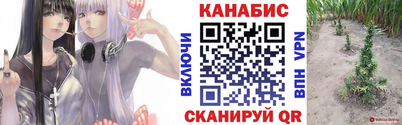 Каннабис OG Kush  наркота  MEGA вход  площадка телеграм  Сегежа 